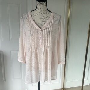 Rose & Olive Blush Sheer Blouse